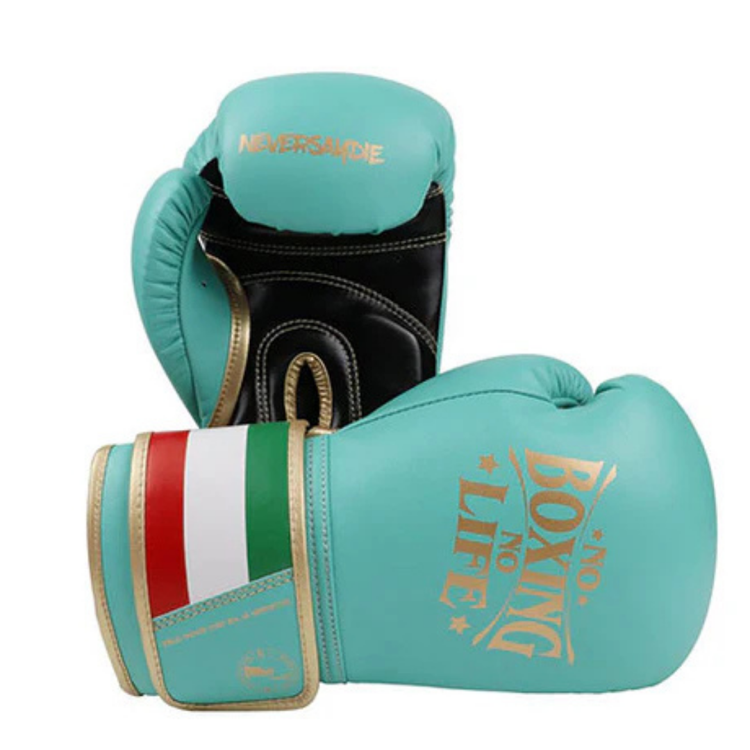 Customizable boxing glove, High Quality COPIES of Branded Gloves Sea Green