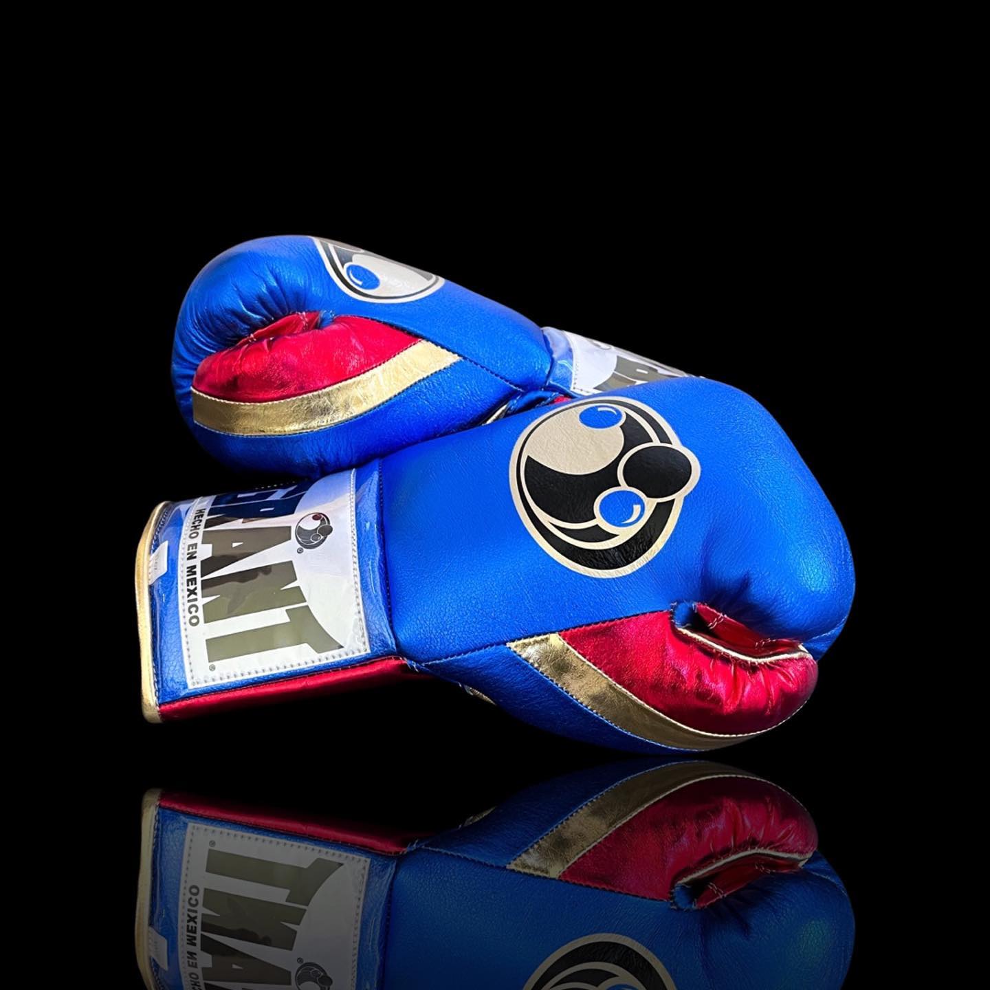 Customizable boxing glove, High Quality COPIES of Branded Gloves Blue/Red