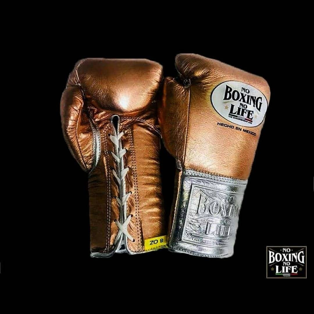 Customizable boxing glove, High Quality COPIES of Branded Gloves Brown/Silver