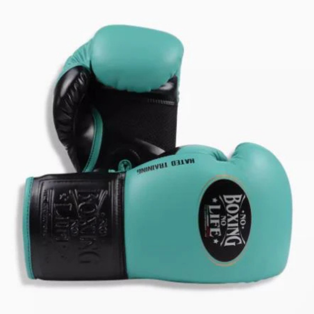 Customizable boxing glove, High Quality COPIES of Branded Gloves Sea Green/Black